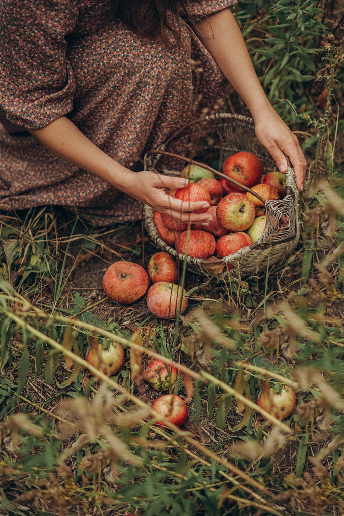 A woman picking apples in the fall and placing them in a basket, fall aesthetic, cosy fall candles