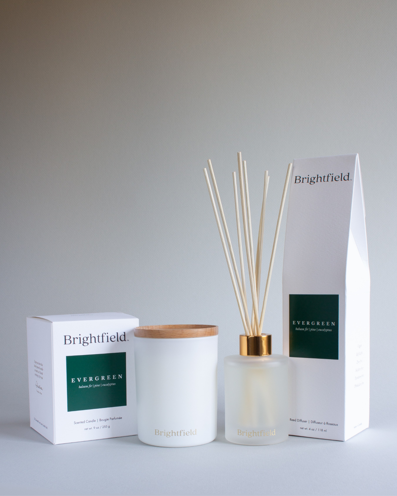 candle✣candle Candles – Brightfield